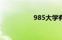 985大学有哪些怎么样