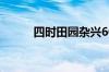 四时田园杂兴60首诗指什么意思