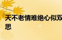 天不老情难绝心似双丝网中有千千结指什么意思