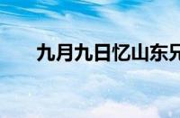 九月九日忆山东兄弟 古诗指什么意思