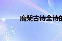 鹿柴古诗全诗的意思指什么意思