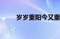 岁岁重阳今又重阳全诗指什么意思