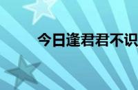 今日逢君君不识下一句指什么意思