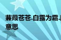 蒹葭苍苍.白露为霜.所谓伊人.在水一方指什么意思