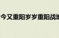 今又重阳岁岁重阳战地黄花分外香指什么意思