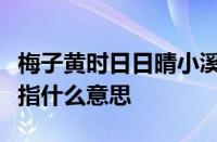 梅子黄时日日晴小溪泛尽却山行的意思是什么指什么意思