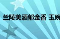 兰陵美酒郁金香 玉碗盛来琥珀光指什么意思