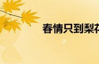 春情只到梨花薄指什么意思