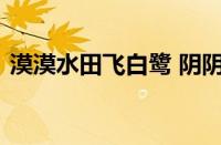 漠漠水田飞白鹭 阴阴夏木啭黄鹂指什么意思