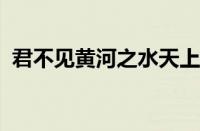 君不见黄河之水天上来的下一句指什么意思