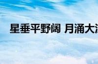 星垂平野阔 月涌大江流的意思指什么意思