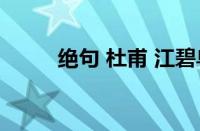 绝句 杜甫 江碧鸟逾白指什么意思