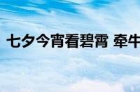 七夕今宵看碧霄 牵牛织女渡河桥指什么意思