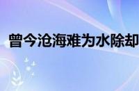 曾今沧海难为水除却巫山不是云指什么意思