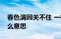 春色满园关不住 一枝红杏出墙来的意思指什么意思