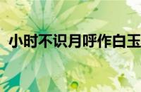 小时不识月呼作白玉盘是哪首诗指什么意思