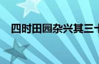 四时田园杂兴其三十一的意思指什么意思