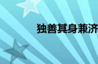 独善其身兼济天下指什么意思