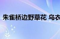 朱雀桥边野草花 乌衣巷口夕阳斜指什么意思