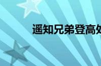 遥知兄弟登高处下句指什么意思