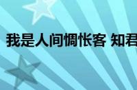 我是人间惆怅客 知君何事泪纵横指什么意思