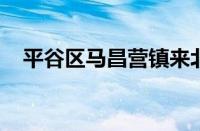 平谷区马昌营镇来北京农业职业学院调研