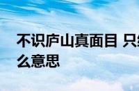 不识庐山真面目 只缘身在此山中的意思指什么意思