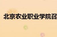 北京农业职业学院召开基层党组织书记例会