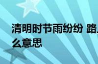 清明时节雨纷纷 路上行人欲断魂的意思指什么意思