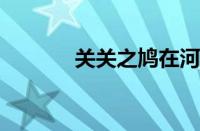 关关之鸠在河之洲指什么意思