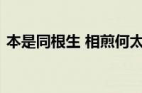 本是同根生 相煎何太急什么意思指什么意思