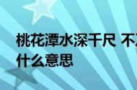 桃花潭水深千尺 不及汪伦送我情的我是谁指什么意思