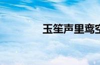 玉笙声里鸾空怨指什么意思