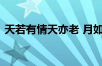 天若有情天亦老 月如无恨月长圆指什么意思