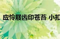 应怜屐齿印苍苔 小扣柴扉久不开指什么意思