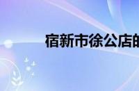 宿新市徐公店的故事指什么意思