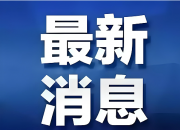 理想L6上市9个月，累计交付量突破20万辆大关